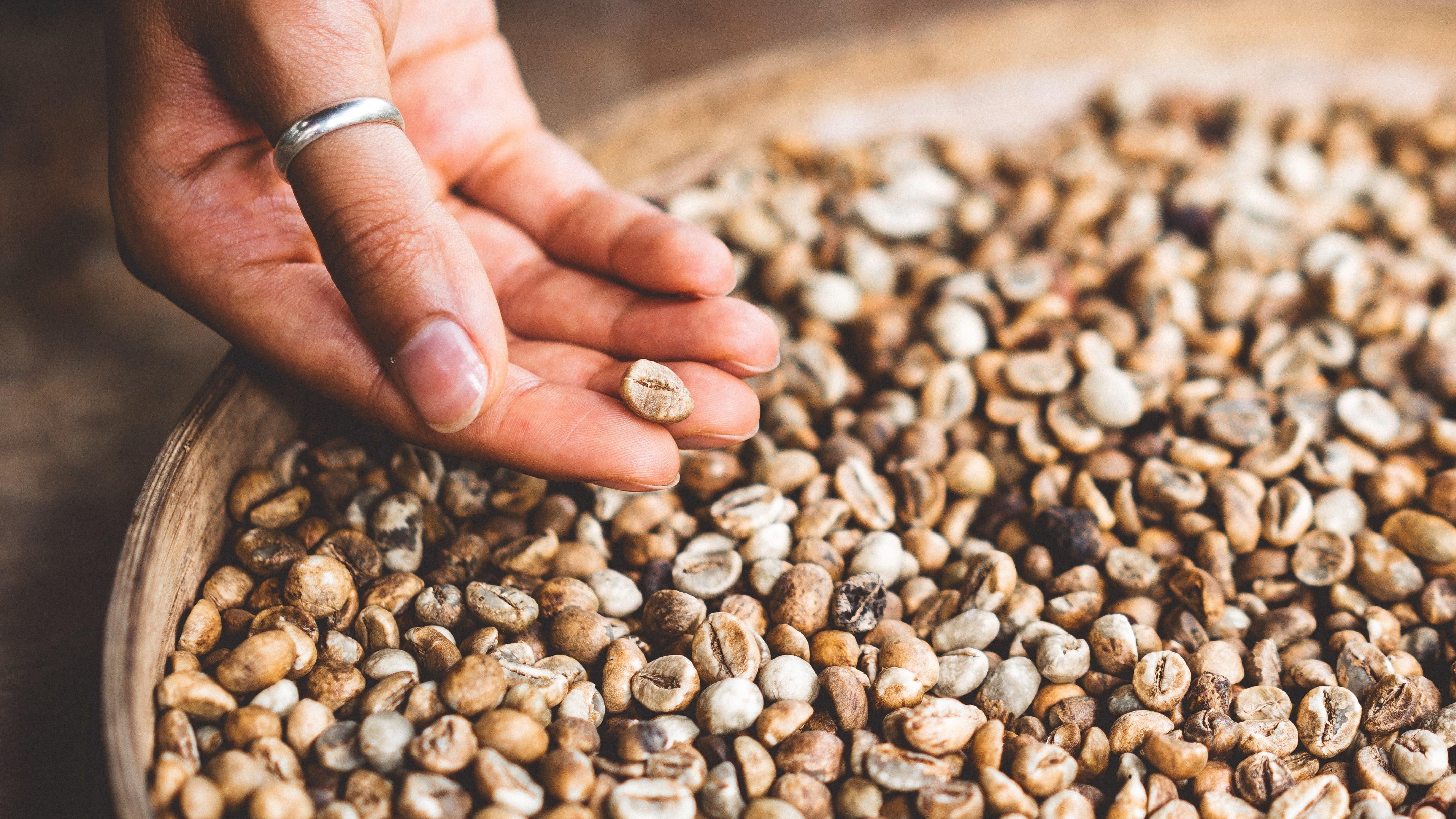 Perfecting the Bean - Ovalware