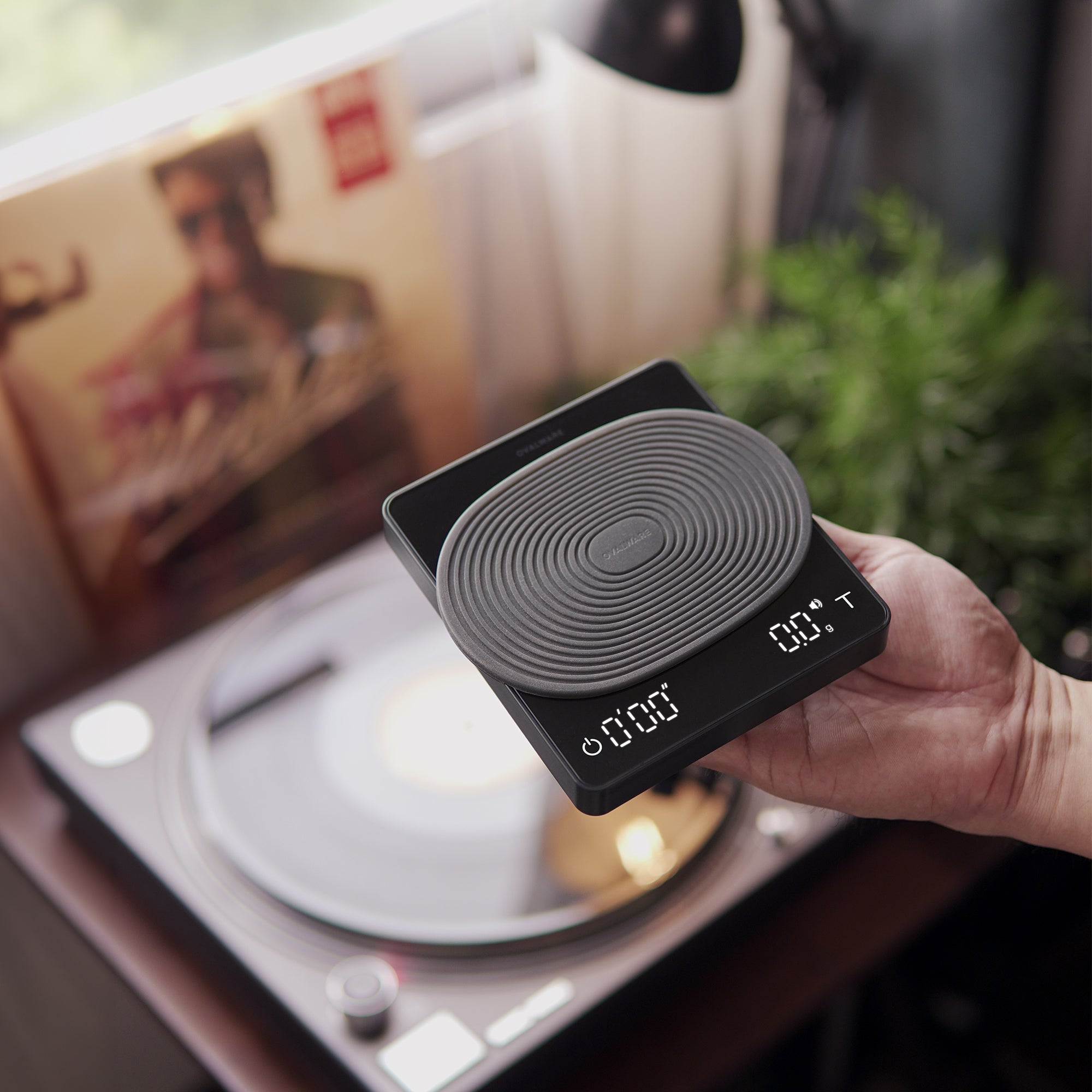 Pulse Coffee Scale