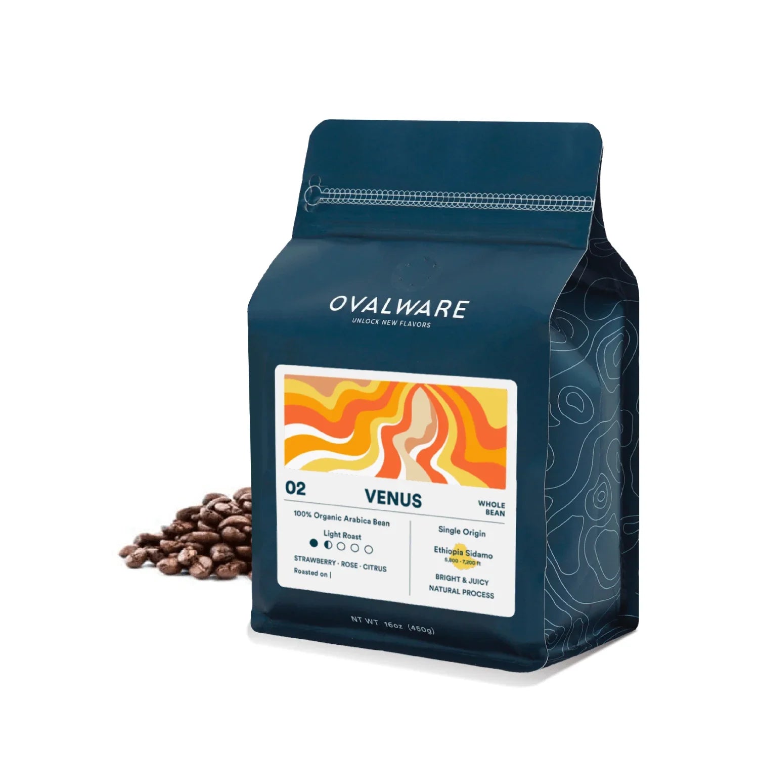 100% pour over coffee beans - Venus by OVALWARE