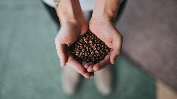 Get to Know Your Beans! - Ovalware