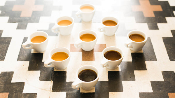 Cupping Coffee Like a Pro - Ovalware