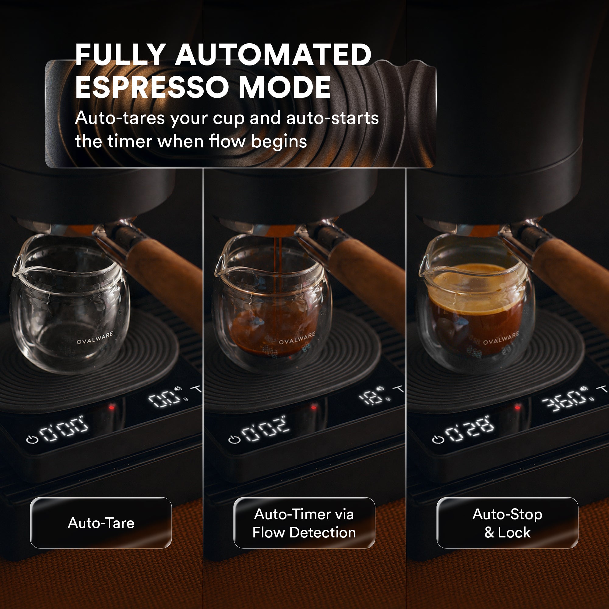 Pulse Coffee Scale