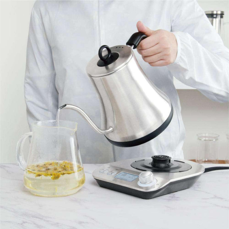 Gooseneck Electric Kettle 800ml Hot Water Kettle Temperature